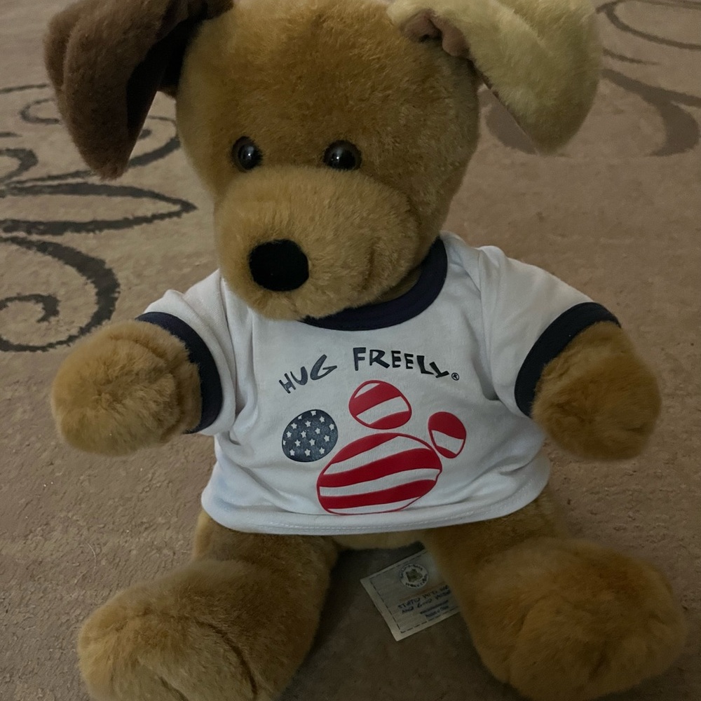 Build a Bear Workshop bear and accessories